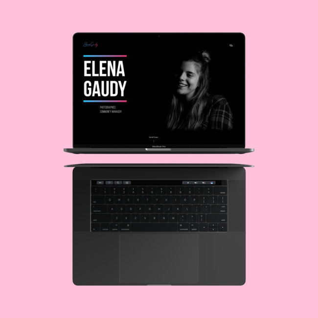Page d'accueil du site internet Elena Gaudy